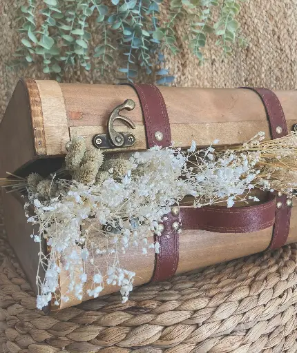 Valise Nicols
